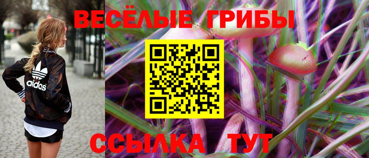 Алейск  Галлюциногенные грибы Psilocybe  Вход с VPN 